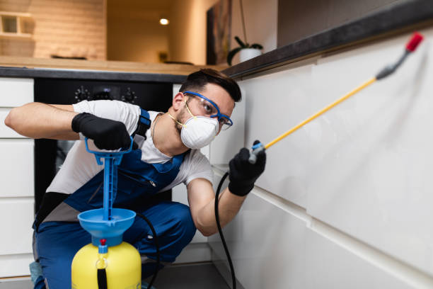 Best Pest Inspection Near Me  in West Hill, OH