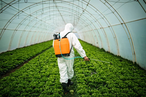 Best Local Pest Control Services  in West Hill, OH