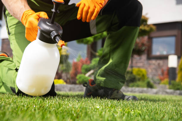 Best Wildlife Control Services  in West Hill, OH