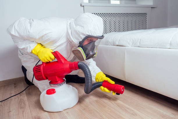 Best Affordable Pest Control Services  in West Hill, OH