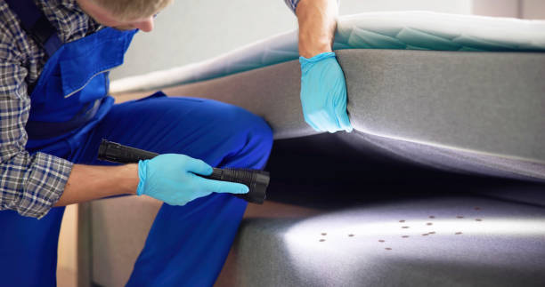 Best Bed Bug Extermination  in West Hill, OH