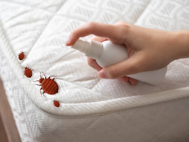Best Mosquito Control Services  in West Hill, OH