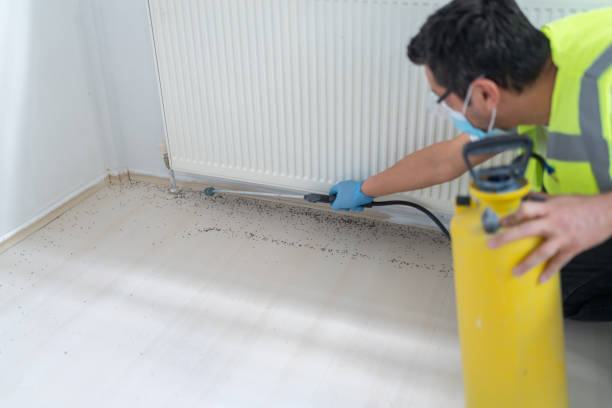 Best Pest Removal Services  in West Hill, OH