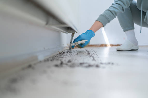Best Pest Prevention Services  in West Hill, OH